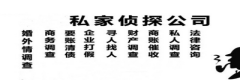 商务调查